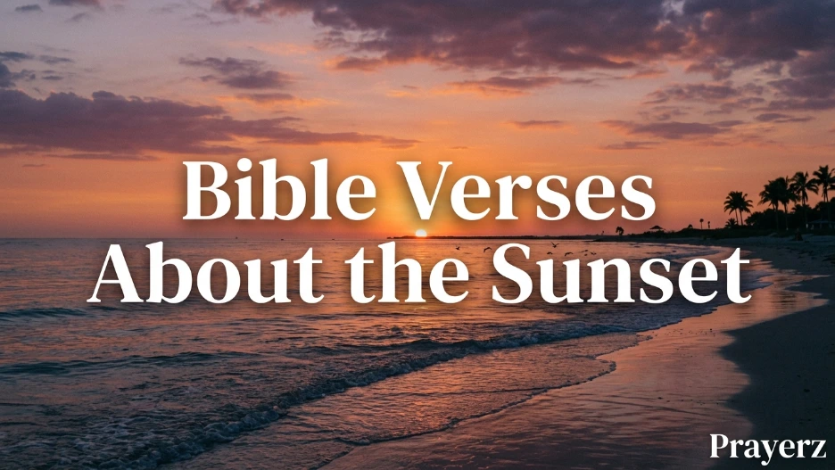 Bible Verses About the Sunset